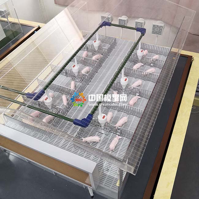 養(yǎng)豬場沙盤模型