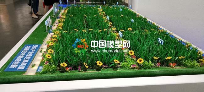 茭白產(chǎn)業(yè)種植基地沙盤(pán)模型